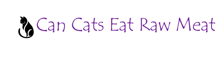 can cats eat raw meat